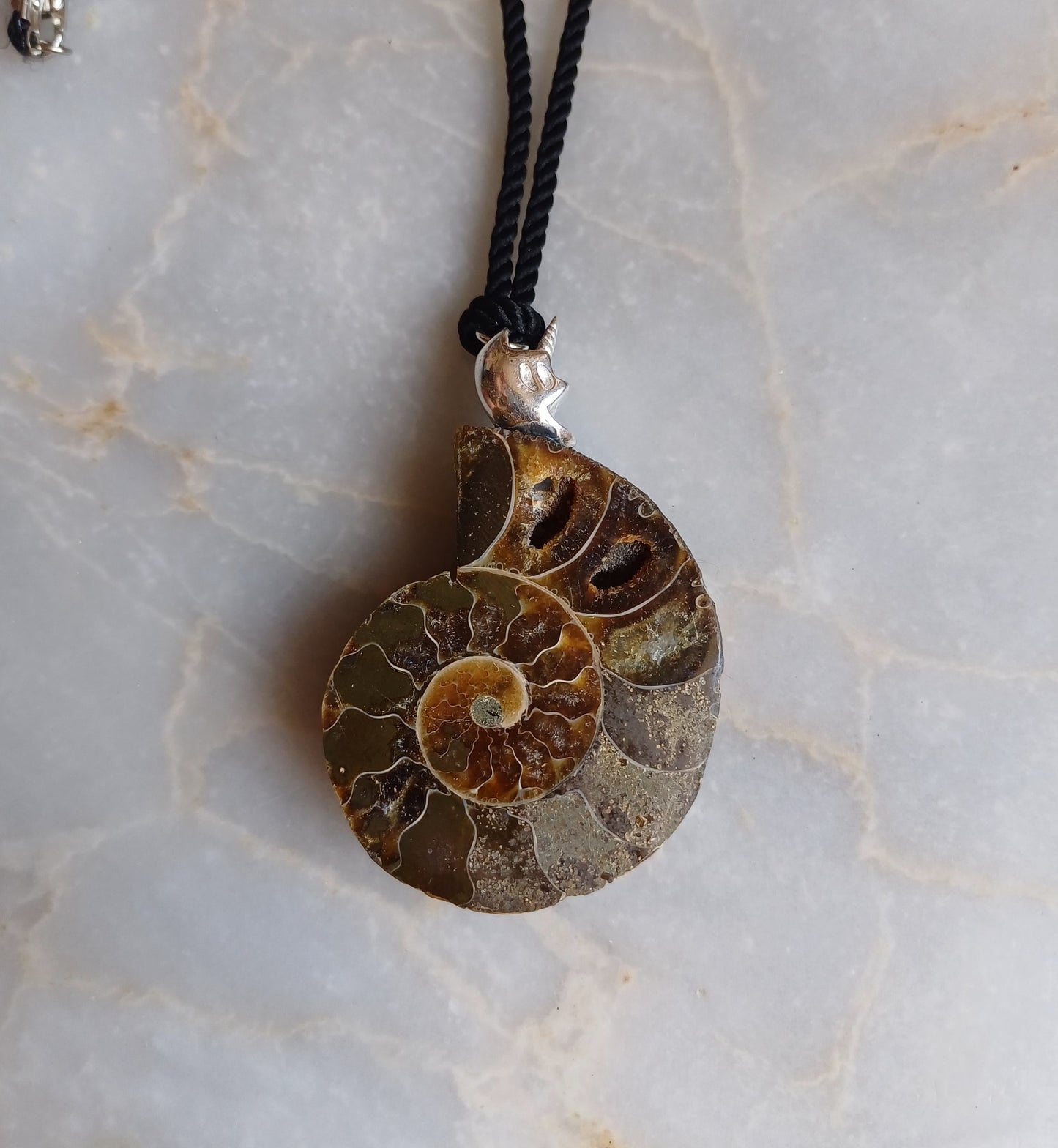 Ammonite crystal talisman necklace under ASHA icon in 925 silver ✨️